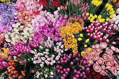 《外科模拟2》Steam版发售 售价70元支持中文